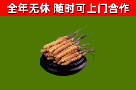 五峰县烟酒回收冬虫夏草.jpg